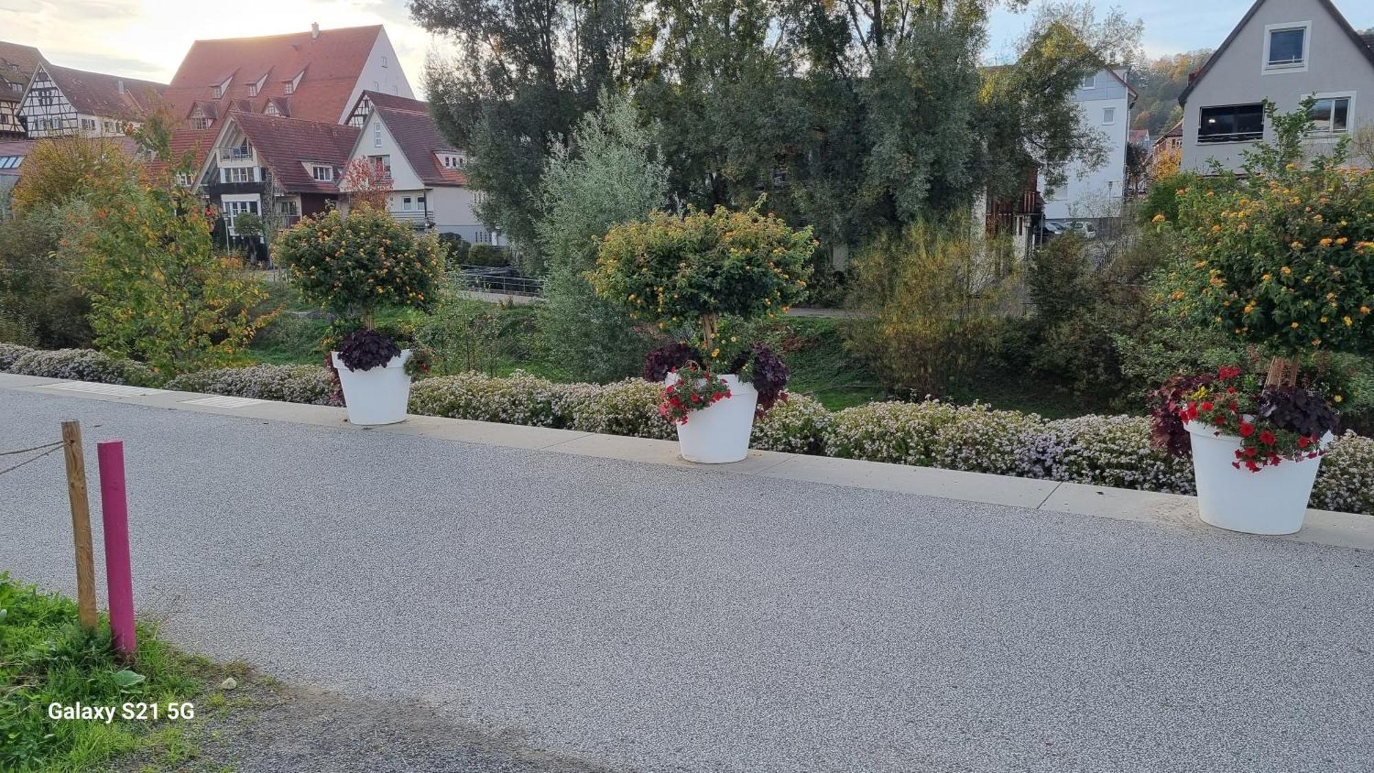 Ferienwohnung Elefanten بالينغن المظهر الخارجي الصورة